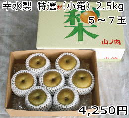 幸水梨　贈答用 化粧箱(小箱)　2.5kg