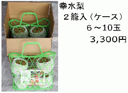 幸水梨　贈答用 2かごケース入り　3kg