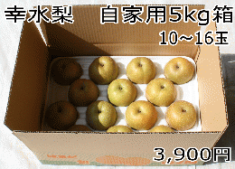 幸水梨　自家用ダンボール5kg箱