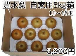 豊水梨　ダンボール自家用品　5kg